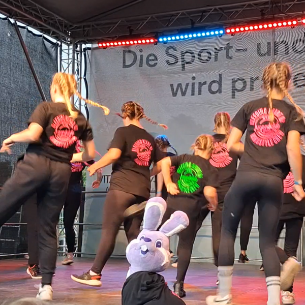 ...Brandenburgtag 2025 in Perleberg...unsere Bleeding Heart of Hardstyle Crew war dabei...